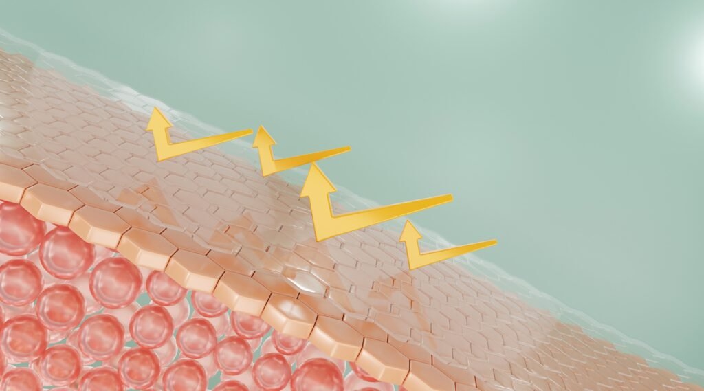 Lifestyle habits for UV protection