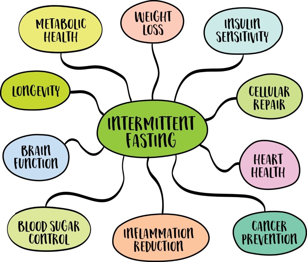 Health,Benefits,Of,Intermittent,Fasting,Infographics,,Diet,And,Lifestyle,Concept, Benefits of intermittent fasting